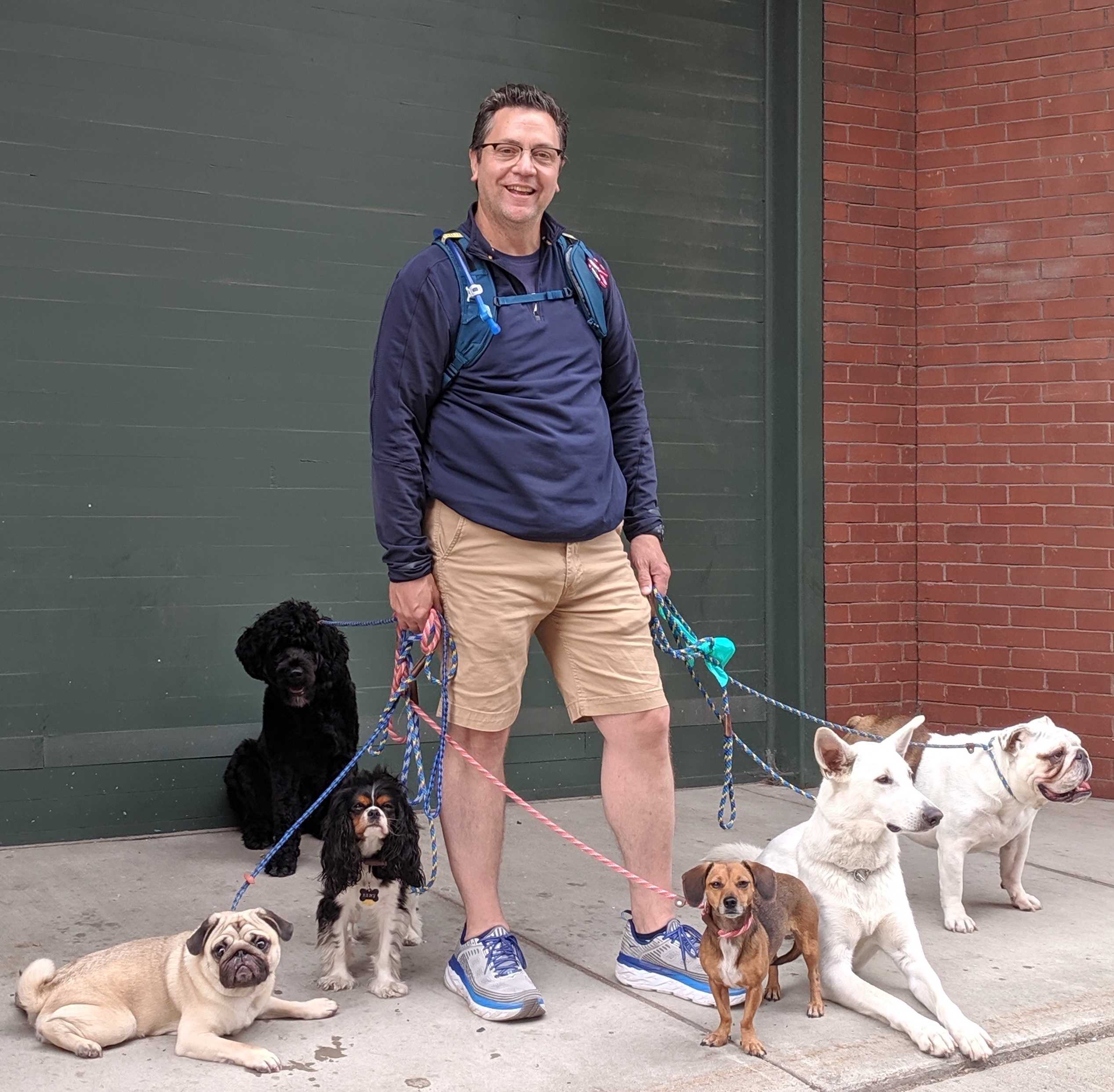 Pehr with the dog pack on a walk